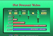 What is the net present value of the project