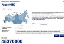 Indication of octmo in the payment order